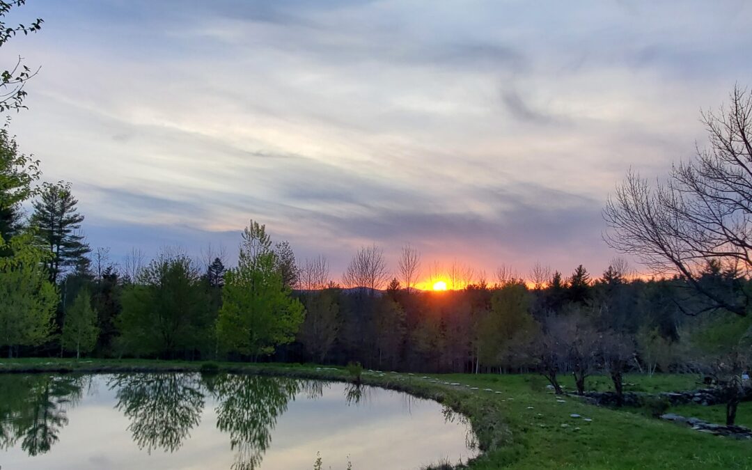 Nature